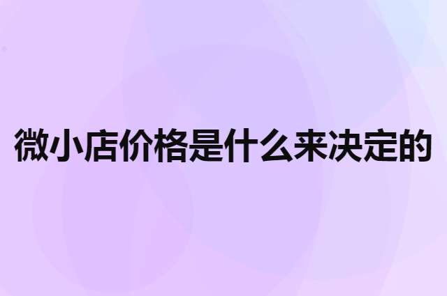 企叮咚微小店价格是依据什么来决定的（小程序开发公司）